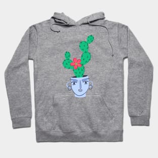 Cactus houseplant. Indoors thorny plant in flowerpot. Hoodie